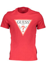 Мужская футболка Guess Jeans M1RI71I3Z11 цена и информация | Футболка мужская | pigu.lt