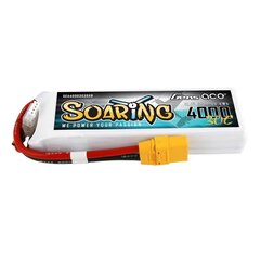 Lipo akumuliatoriaus pakuotė su kištukais Gens Aceg 4000mAh 11,1 V цена и информация | Батарейки | pigu.lt