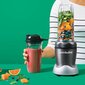 Nutribullet NB100DG kaina ir informacija | Kokteilinės | pigu.lt