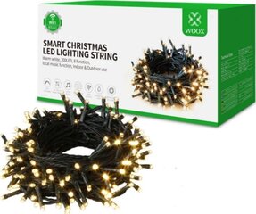 Kalėdinė girlianda LED WOOX R5151, 20 m kaina ir informacija | Girliandos | pigu.lt