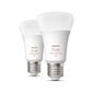 LED lemputė Philips E27, 806 lm, 6500 K, 2 vnt. kaina ir informacija | Elektros lemputės | pigu.lt