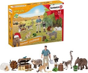 Schleich Advent Calendar 2021 Wild Life 98272 цена и информация | Развивающие игрушки | pigu.lt