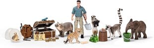 Advento kalendorius Wild Life Schleich 98272, 24 d. kaina ir informacija | Lavinamieji žaislai | pigu.lt