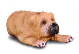 Figūrėlė Shar Pei veislės šuniukas Collecta, 88194, 5cm kaina ir informacija | Žaislai berniukams | pigu.lt