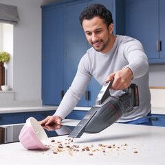 Black & Decker Dustbuster kaina ir informacija | Black&Decker Buitinė technika ir elektronika | pigu.lt