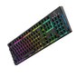 DreamKey RGB цена и информация | Klaviatūros | pigu.lt