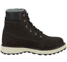 Gant мужские сапоги, RAYMO, темно-коричневый 43 907163783 цена и информация | Мужские ботинки | pigu.lt