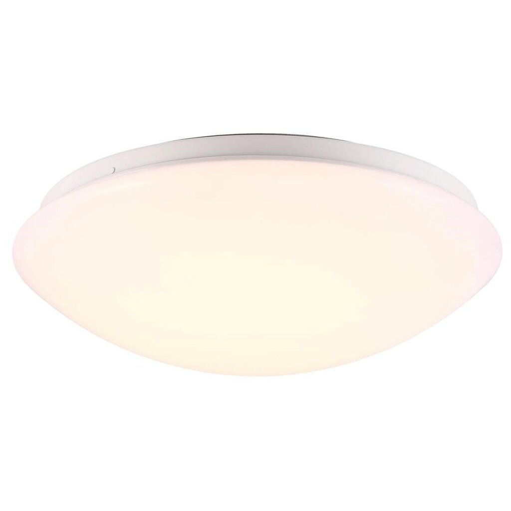 Nordlux lubinis šviestuvas Ask 28 kaina ir informacija | Lubiniai šviestuvai | pigu.lt