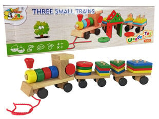 Деревянный сортировщик поездов цена и информация | Игрушки для малышей | pigu.lt