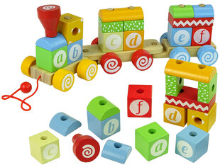 Medinis traukinukas su virvute - ABC raidžių formos kaina ir informacija | Žaislai kūdikiams | pigu.lt