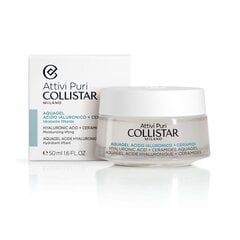 Veido kremas Collistar Pure Actives Hyaluronic Acid + Ceramides 50 ml kaina ir informacija | Collistar Kosmetika veidui | pigu.lt