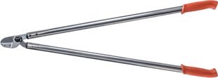 Šakų žirklės Original LÖWE 20.100 kaina ir informacija | Sodo įrankiai | pigu.lt
