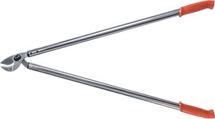 Šakų žirklės Original LÖWE 22.100 kaina ir informacija | Sodo įrankiai | pigu.lt