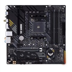 Asus 90MB19Y0-M0EAY0 kaina ir informacija | Procesoriai (CPU) | pigu.lt