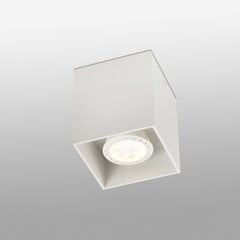 Лампа с креплением на рельс 922121-1-BL цена и информация | Потолочные светильники | pigu.lt