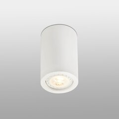 Лампа с креплением на рельс 922121-1-BL цена и информация | Потолочные светильники | pigu.lt