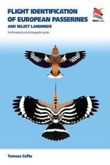 Flight Identification of European Passerines and Select Landbirds: An Illustrated and Photographic Guide kaina ir informacija | Enciklopedijos ir žinynai | pigu.lt