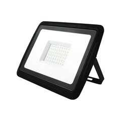 EUROLIGHT LED prožektorius 50W, 4000lm kaina ir informacija | Lauko šviestuvai | pigu.lt