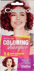Dažomasis plaukų šampūnas Delia Cosmetics Cameleo 40 ml, nr 5.6 Dark Mahogany kaina ir informacija | Plaukų dažai | pigu.lt