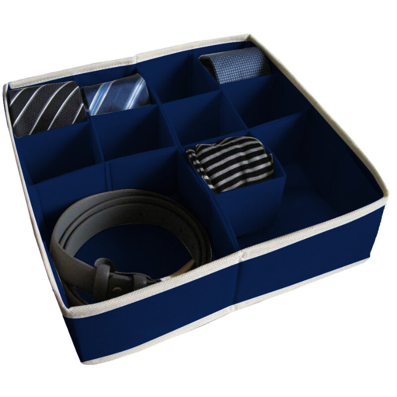 Dėžutė su skyreliais L, 30,5 x 30,5 x 10 cm, mėlyna цена и информация | Daiktadėžės | pigu.lt