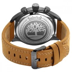 Мужские часы Timberland Nickerson Dual Time TDWGF2100202 цена и информация | Мужские часы | pigu.lt