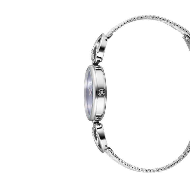 Laikrodis moterims Pierre Cardin APC902752F02 kaina ir informacija | Moteriški laikrodžiai | pigu.lt