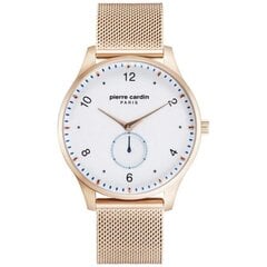 Laikrodis vyrams Pierre Cardin APC902671F202 kaina ir informacija | Vyriški laikrodžiai | pigu.lt