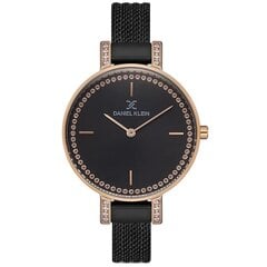 Laikrodis moterims Daniel Klein DK1129085 kaina ir informacija | Moteriški laikrodžiai | pigu.lt
