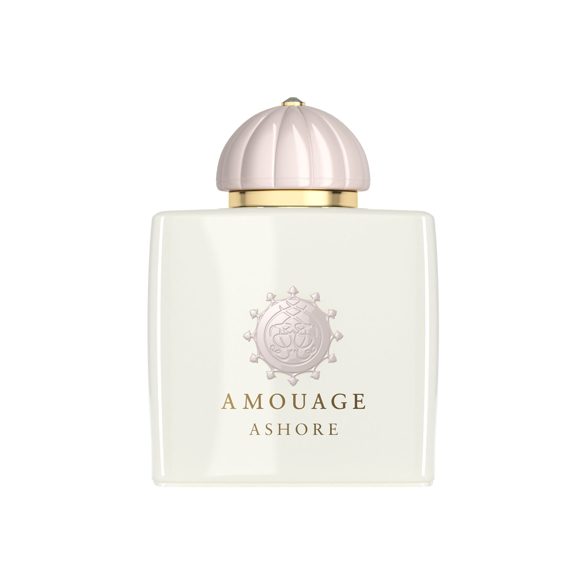 Kvapusis vanduo Amouage Amouage Ashore EDP moterims 100 ml kaina