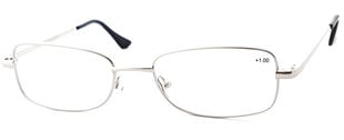 Skaitymo akiniai L001, sidabrinės spalvos kaina ir informacija | Akiniai | pigu.lt