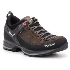 Sportiniai bateliai moterims Salewa WS MTN Trainer W 613580991 цена и информация | Спортивная обувь, кроссовки для женщин | pigu.lt