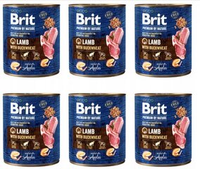 Brit Premium by Nature su ėriena ir grikiais, 6 x 800 g kaina ir informacija | Brit Premium Šunims | pigu.lt