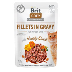 Brit Care Fillets in gravy su antiema, 24 x 85 g kaina ir informacija | Konservai katėms | pigu.lt