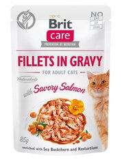 Brit Care Fillets in gravy su lašiša, 24 x 85 g kaina ir informacija | Konservai katėms | pigu.lt