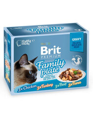 Brit Premium Gravy fillet Family plate rinkinys, 48x85 g kaina ir informacija | Konservai katėms | pigu.lt