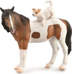 Figūrėlių rinkinys Collecta Kumelė ir terjeras arklys kaina ir informacija | Žaislai berniukams | pigu.lt