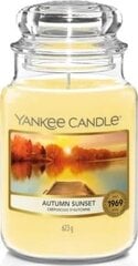 Ароматическая свеча Yankee Candle, 623 г цена и информация | Подсвечники, свечи | pigu.lt