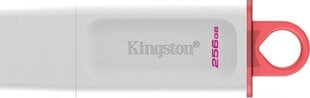 Kingston DataTraveler 256GB USB 3.0 kaina ir informacija | USB laikmenos | pigu.lt