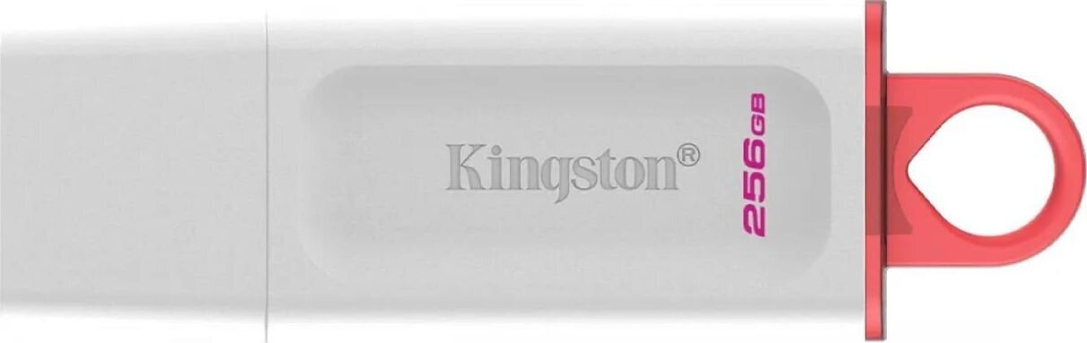 Kingston DataTraveler 256GB USB 3.0 цена и информация | USB laikmenos | pigu.lt