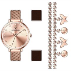 Laikrodis moterims Daniel Klein DK.1.13025-2 kaina ir informacija | Moteriški laikrodžiai | pigu.lt