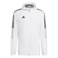 Bluzonas vyrams Adidas Tiro GP4966 kaina ir informacija | Sportinė apranga vyrams | pigu.lt