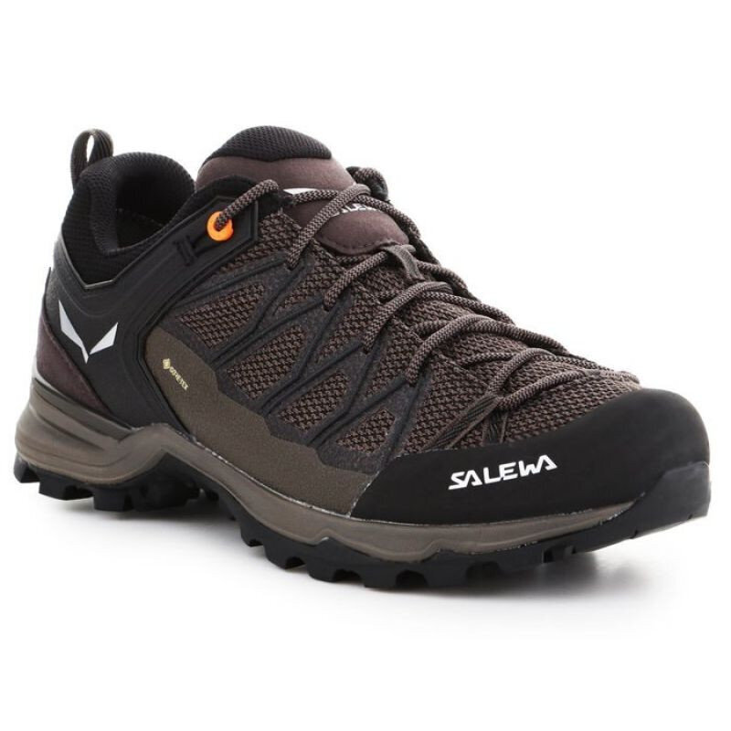 Sportiniai batai vyrams Salewa Mtn Trainer Lite GTX M 613617512 цена и информация | Kedai vyrams | pigu.lt