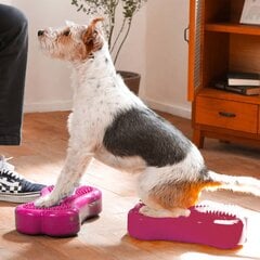 FitPaws Balansinės platformos Mini K9FITbone, 2vnt., 29x16,5x6cm, rožinė цена и информация | Средства для дрессировки собак | pigu.lt