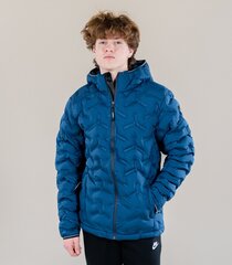 Мужская куртка ICEPEAK 220G 56192-8*382, синяя цена и информация | Мужские куртки | pigu.lt