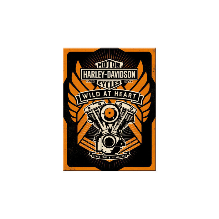 Magnetas Harley Davidson kaina ir informacija | Kanceliarinės prekės | pigu.lt