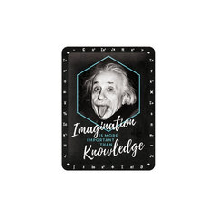 Nostalgic Art metalinė lentelė Einstein - Imagination & Knowledge, 15x20 cm kaina ir informacija | Interjero detalės | pigu.lt