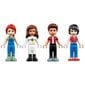 41703 LEGO® Friends Draugystės namelis medyje kaina ir informacija | Konstruktoriai ir kaladėlės | pigu.lt