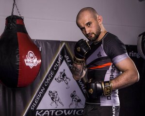 MMA pirštinės Bushido E1V8 kaina ir informacija | Kovos menai | pigu.lt