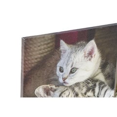 Репродукция DKD Home Decor «Кошки» S3018131, 28 x 1.5 x 28 см, 4 части цена и информация | Репродукции, картины | pigu.lt