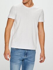    цена и информация | Мужские футболки | pigu.lt